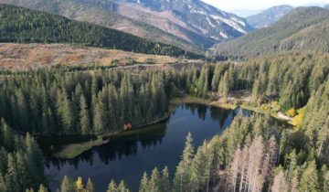 Vrbické pleso - Demänovská dolina, Jasná